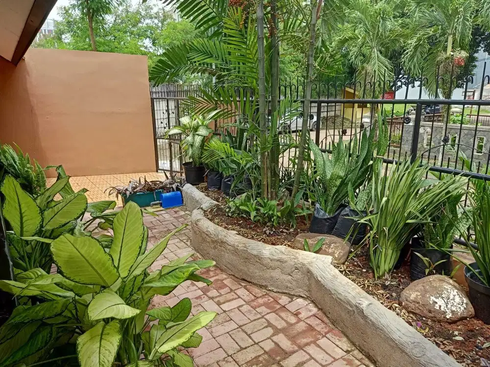 Dijual rumah super luas 1 lantai di Anggrek Loka BSD City Tangerang