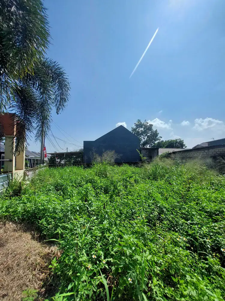 Jual Cepat Nego Sampai Jadi Kavling Di Dramaga Bogor Untuk Ruko