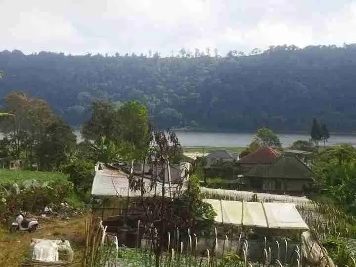 Land FOR SALE near lake of Buyan  Buleleng