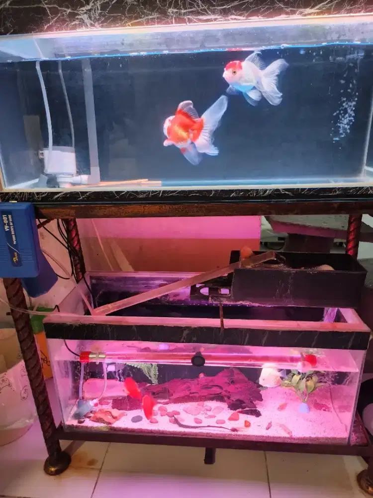 Aquarium murah fullset