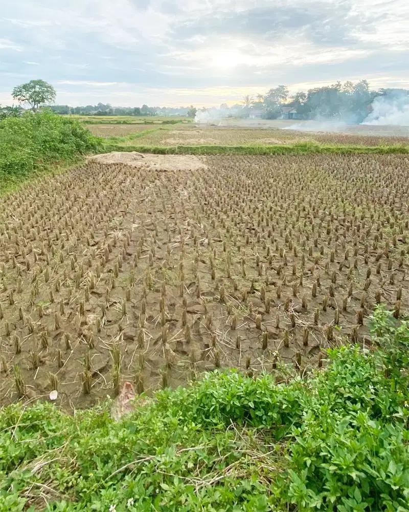 Tanah lebar muka 40 bentuk kotak hadap timur di Legok