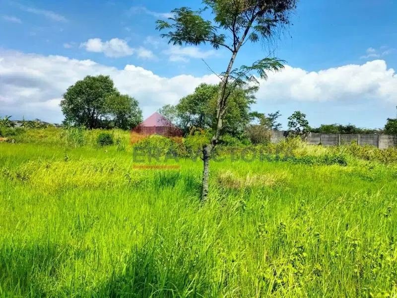 Tanah luas pinggir jalan Pasuruan Purwodadi Malang Surabaya