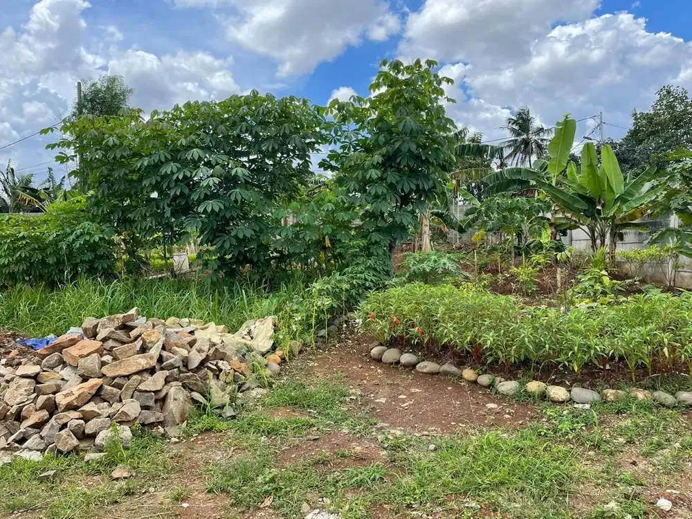 Dijual tanah dibawah harga pasaran di Ciater Pamulang lokasi strategis