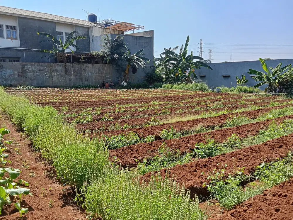 DIJUAL LAHAN KAWASAN BOGOR TENGAH LOKASI STRATEGIS COCOK UNTUK KOSAN