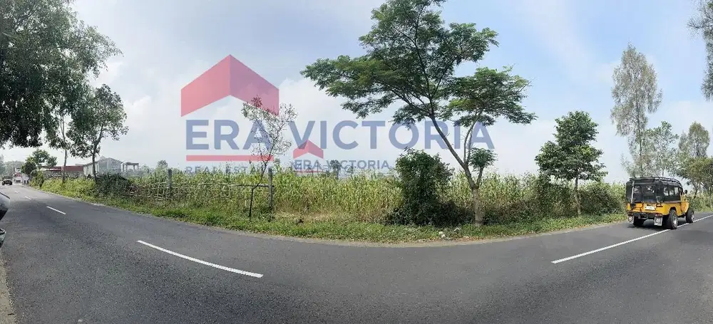 Tanah Cocok Usaha Kuliner & Wisata Poros Ramai Menuju Gunung Bromo