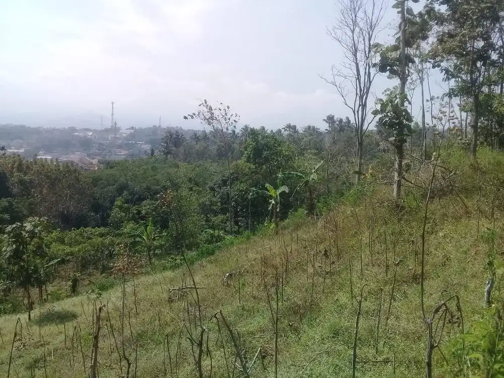 DIJUAL TANAH DEKAT UNIVERSITAS DAERAH SUMEDANG JAWA BARAT