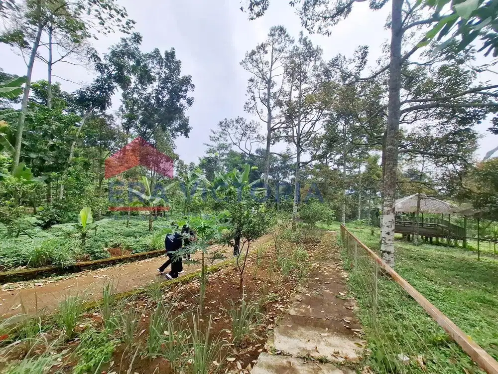 Tanah Luas Area Purwodadi Akses Mudah ke Tol Purwodadi Arah Bromo