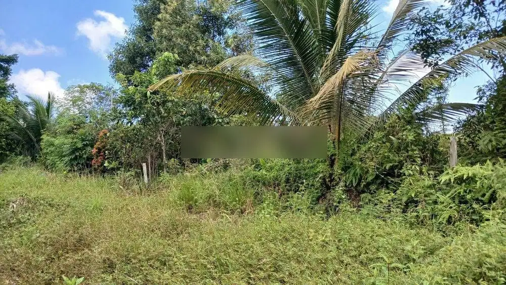 TANAH/LAHAN SAMPAI LAUT PINGGIR JALAN POROS KARIANGAU