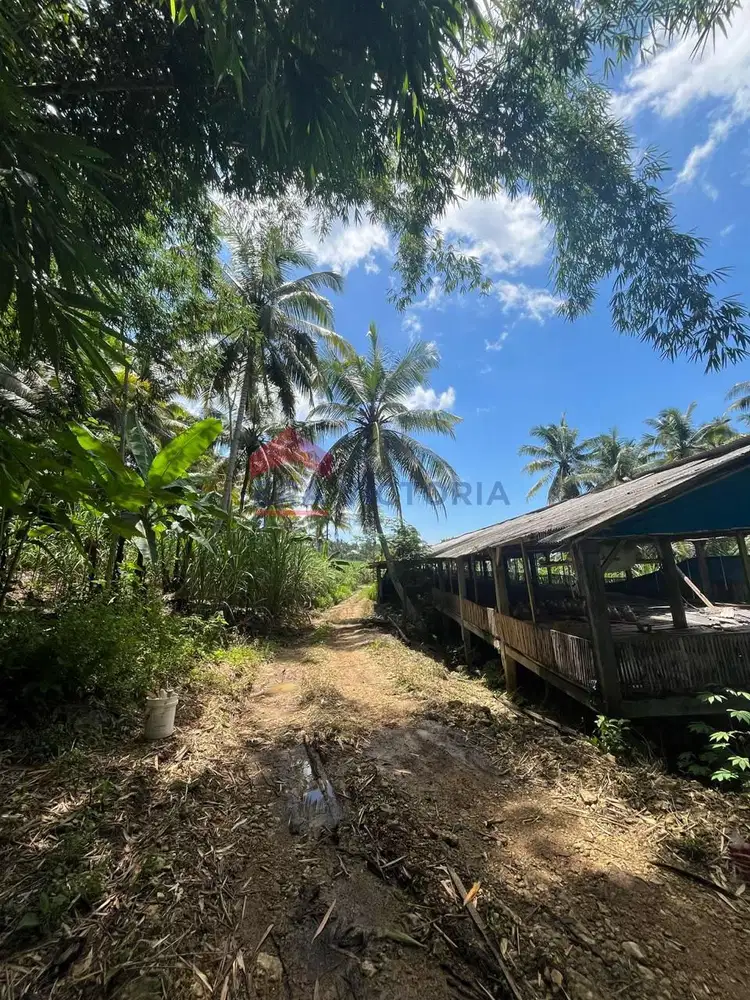 Tanah Luas Area Bantur Akses Mudah ke Balekambang Potensi Investasi