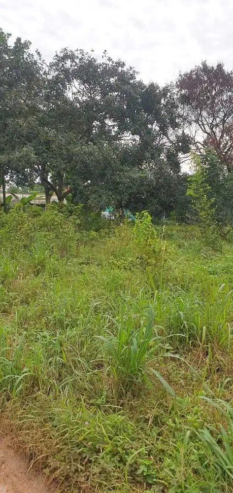 DI JUAL LAHAN KAWASAN CIBINONG BOGOR