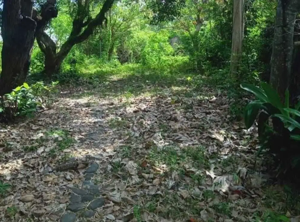 DIJUAL TANAH DI CANGGU KAWASAN KUTA, DIJUAL TANAH LUAS DI BADUNG UTARA BALI.