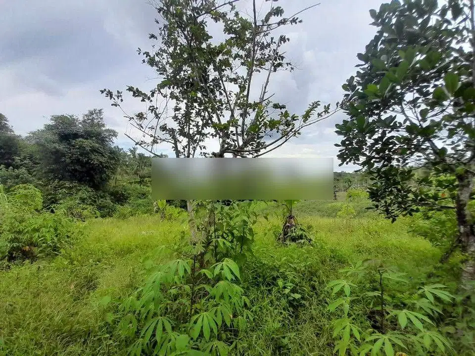 TANAH/LAHAN PINGGIR JALAN KM 12 COCOK DIBUAT GUDANG WORKSHOP DLL