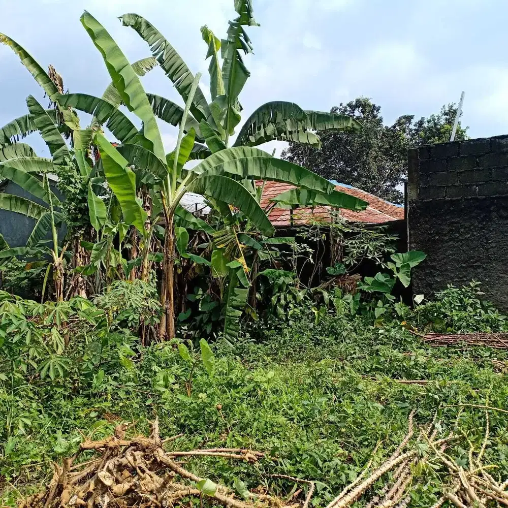 Tanah 5050 m pinggir Jl Pamoyanan Raya, kp Bera Pamoyanan  Bogor Selat