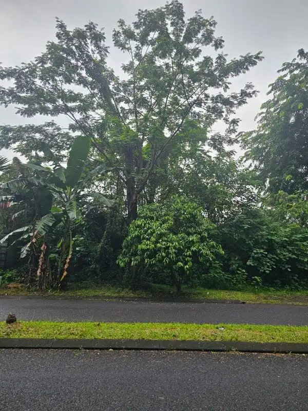 Di Jual Murah Kavling Modernland tangerang