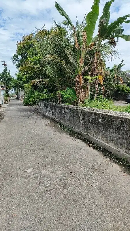 Dijual tanah strategis di prambanan 100m dr jalan jogja solo