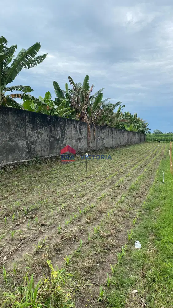 Dijual Tanah di Katang Kab Kediri Untuk Segala Usaha Pinggir Jalan
