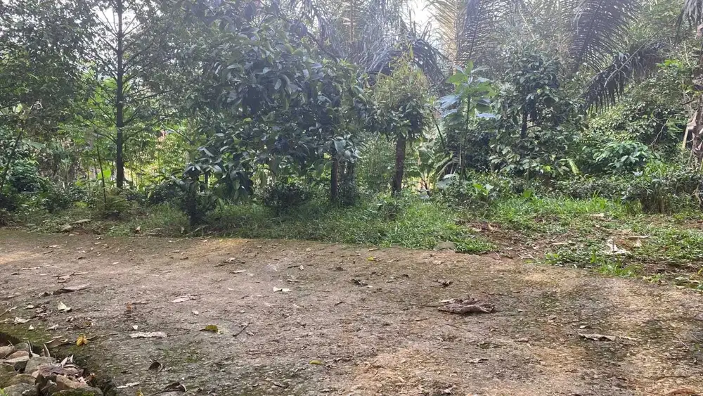 Dijual Murah Tanah 1000 m2 di Kampung Udara Sejuk Bojong Purwakarta