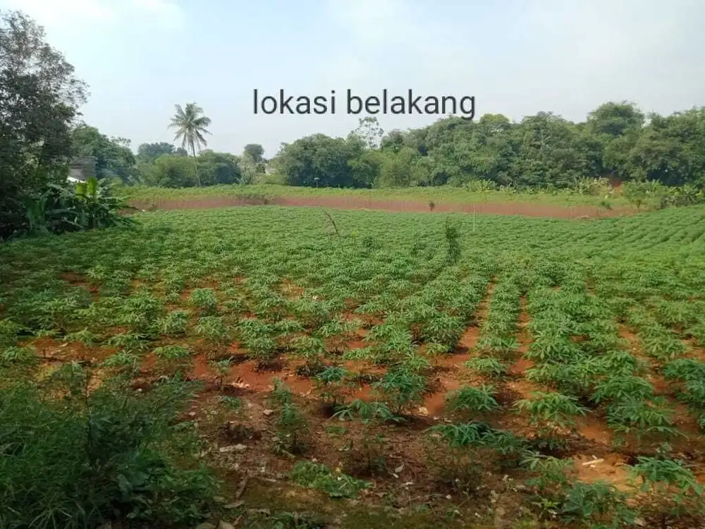 DI JUAL TANAH CIBINONG