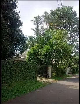 Rumah perlu Renov , SHM di Jl. haur Jaya Tanah Sareal Bogor