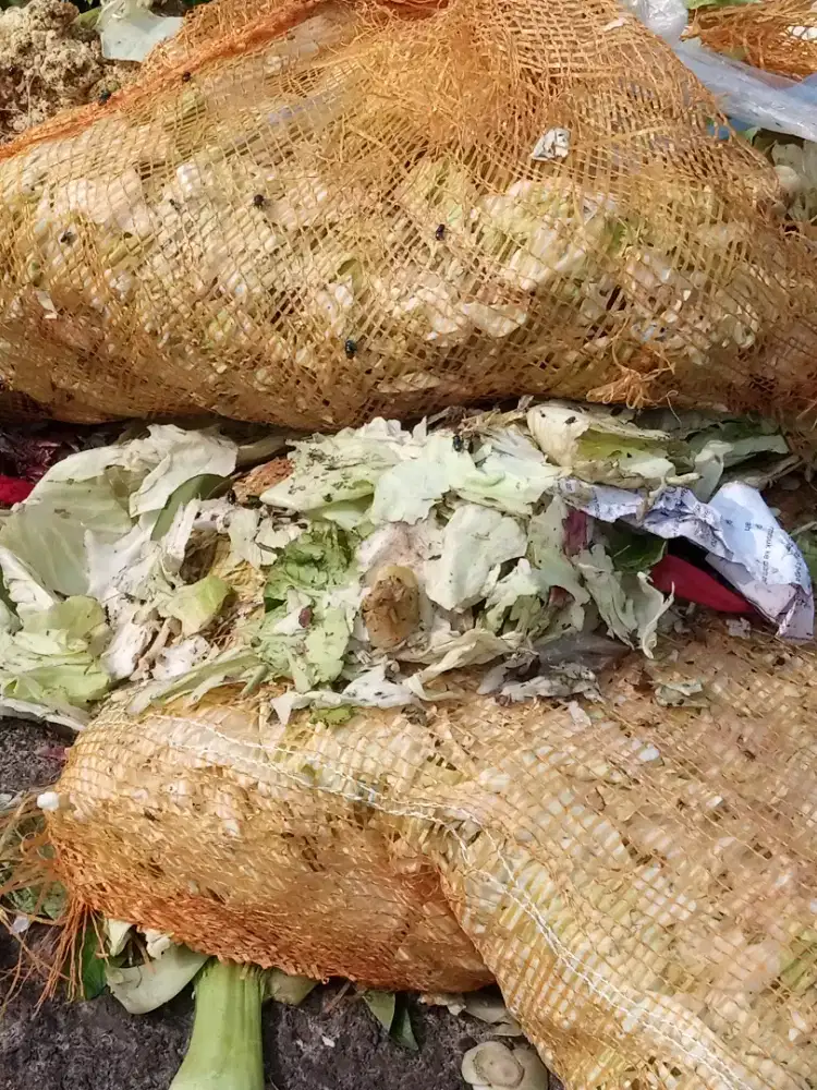 SAYURAN LIMBAH FRESH/LIMBAH SAYURAN SEGAR/LIMBAH SAYURAN SEGAR