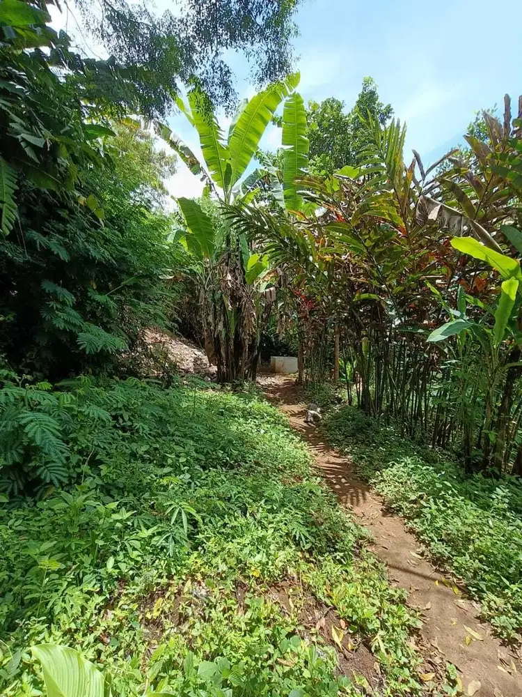 Tanah di Jl. Ligar Indah, Cibeunying