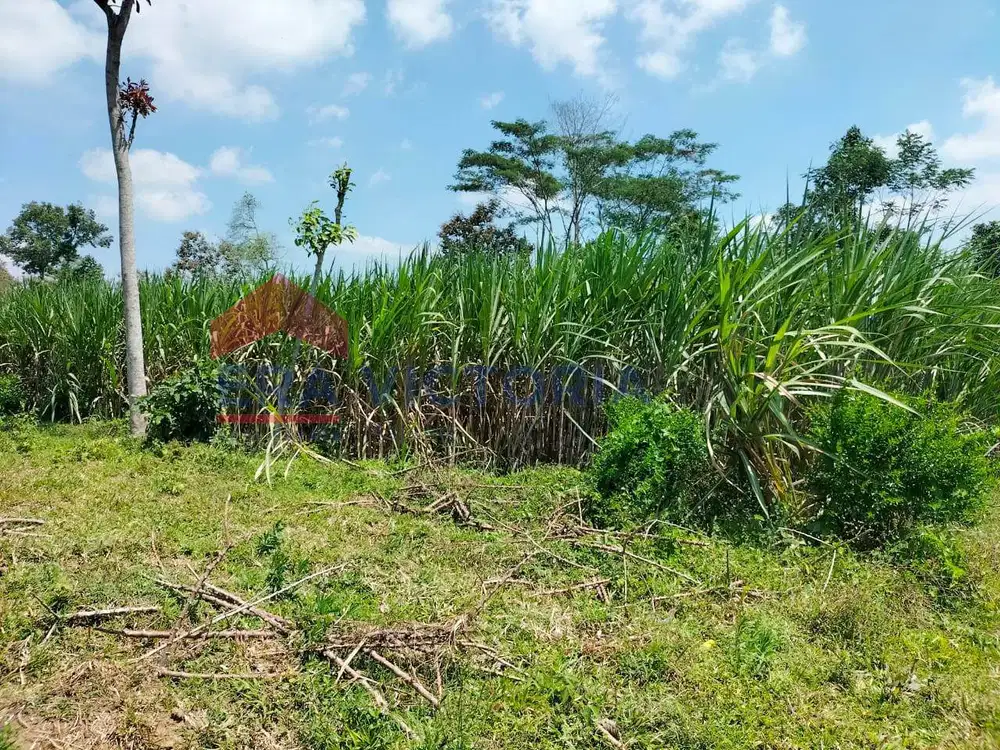 Tanah Subur Harga Terbaik Poncokusumo Pas untuk Usaha, Kebun, Villa