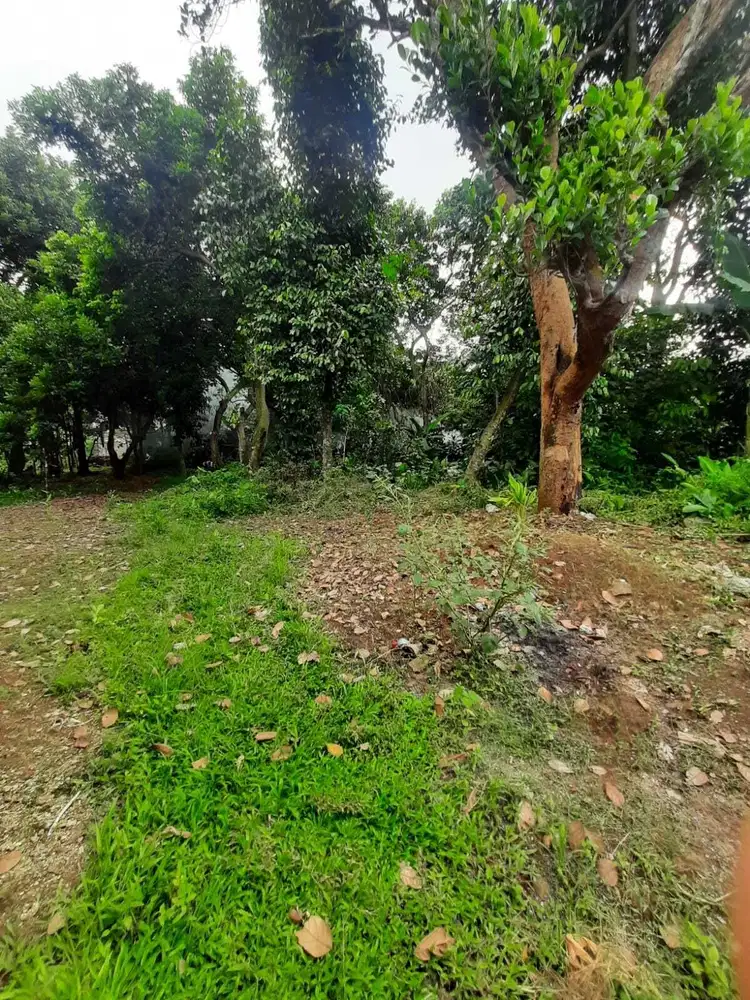 Kavling murah dekat villa pamulang mas bebas banjir siap bangun