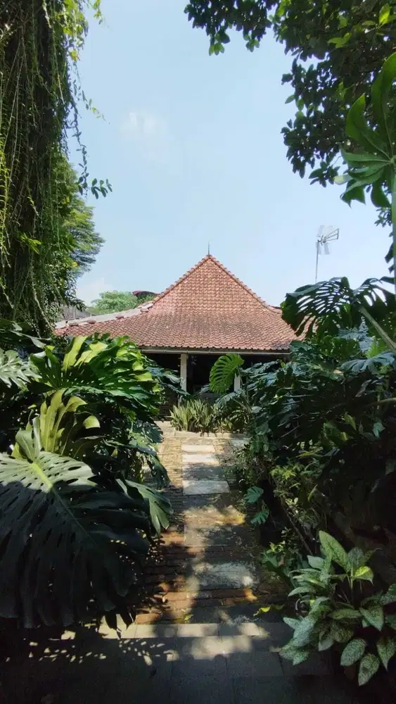 Rumah joglo classic Jawa modern,Asri dan hijau di Sentul Bogor