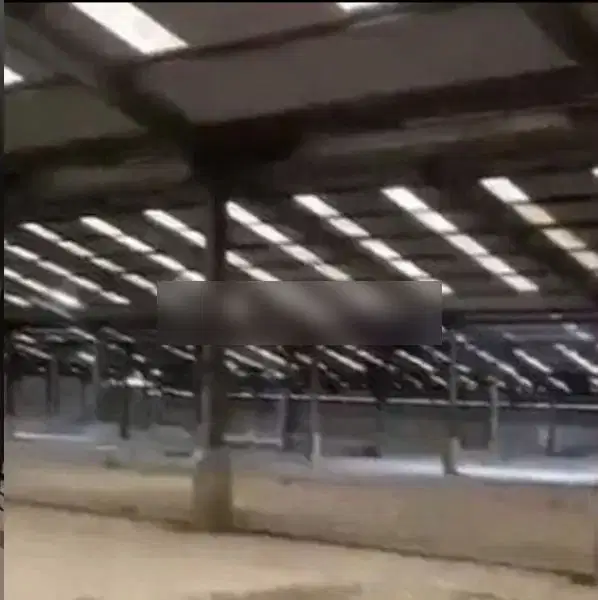 Di Jual Cepat Bu Gudang/Pabrik Raya Serang Cikupa Tangerang