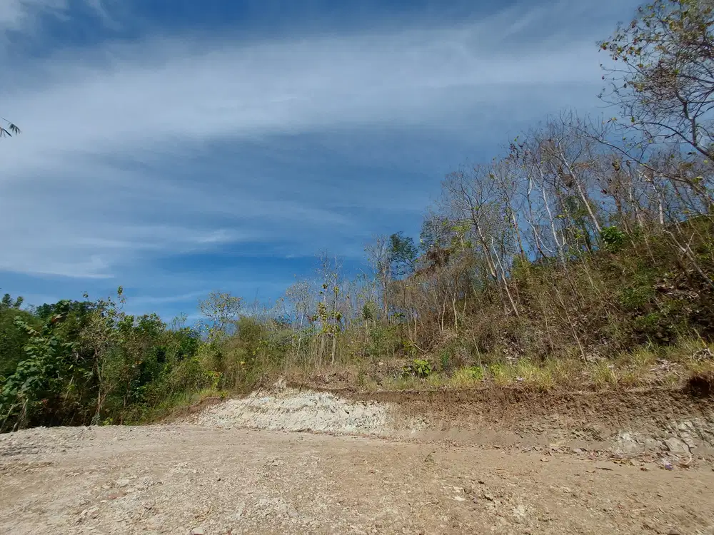 Kavling Strategis Pleret – Akses Mobil & Nuansa Alam