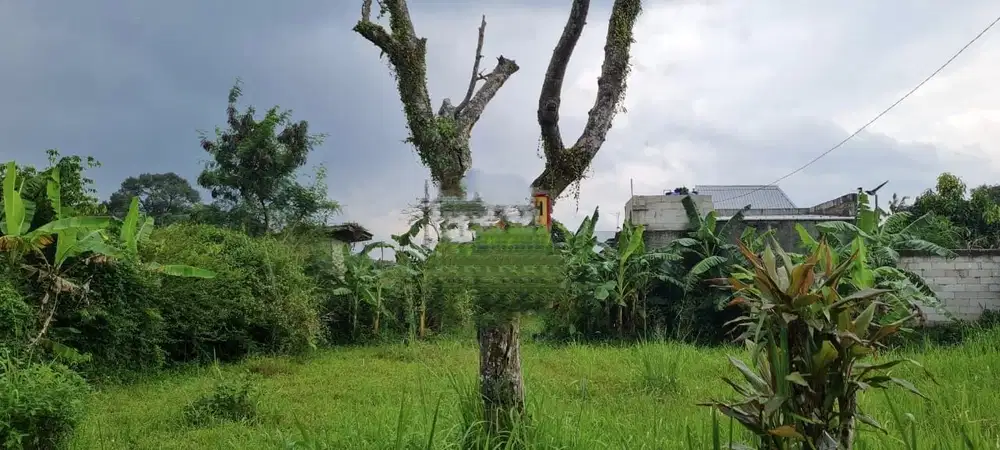 Dijual tanah di Bojongkerta Bogor