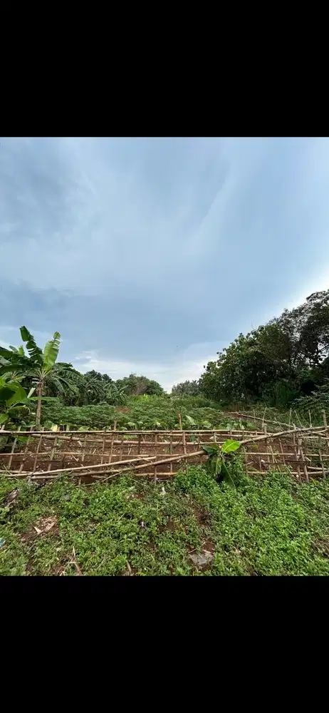 Dijual Tanah Strategis – Cisauk, Serpong  • Luas: 4.000 m²