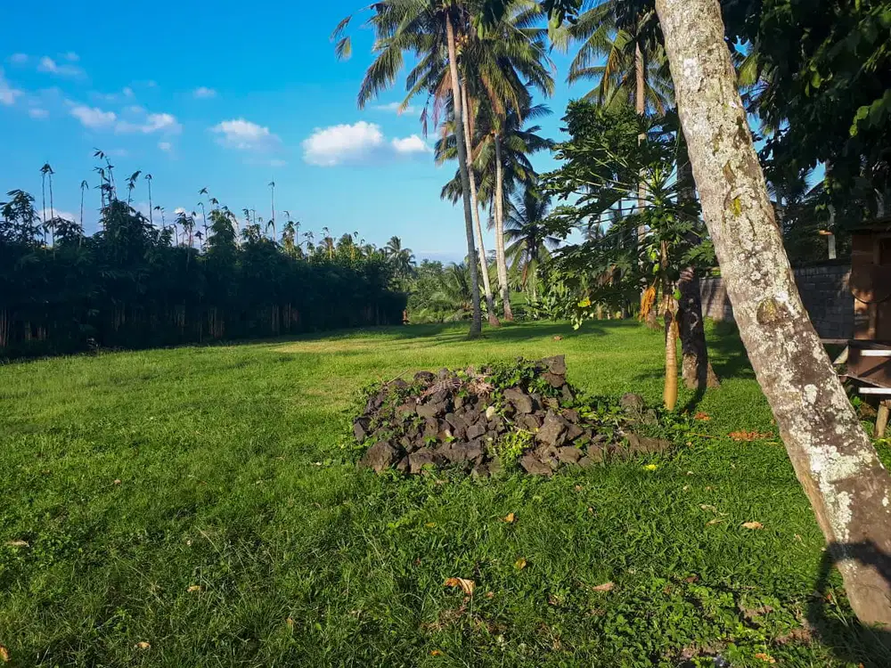 DIJUAL LAHAN KAWASAN UBUD GIANYAR BALI LOKASI MENARIK