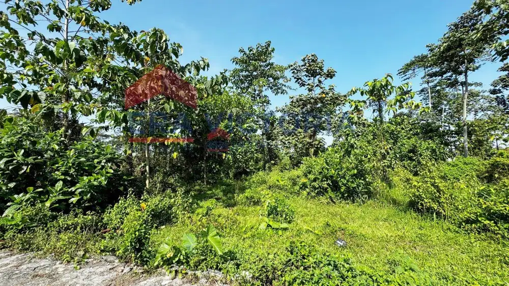 Tanah siap bangun lokasi bagus di Pakis dekat Bandara & Exit Tol Pakis