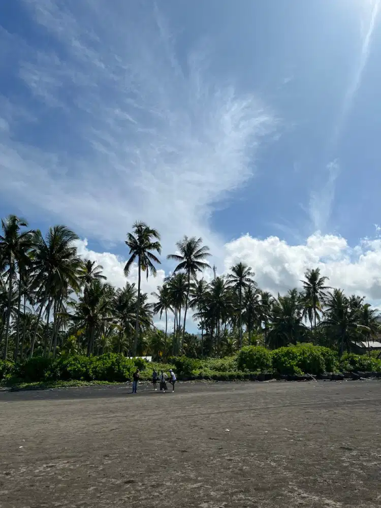 Dijual Tanah di Bali Denpasar Gilimanuk