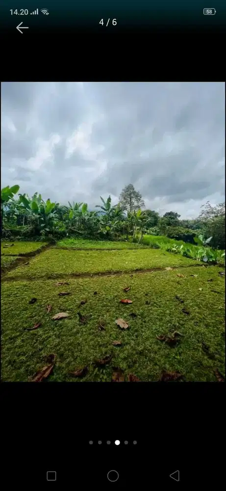 Tanah Kebun Dekat Jalan Besar Ciamis