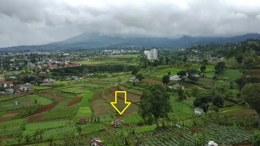 Tanah Akses Mobil di Cipanas Puncak dekat Kota Bunga dan Puncak 2