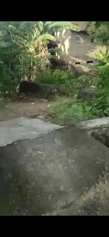 Tanah di jual MURAH  ITR  perumahan dikota Srono Banyuwangi