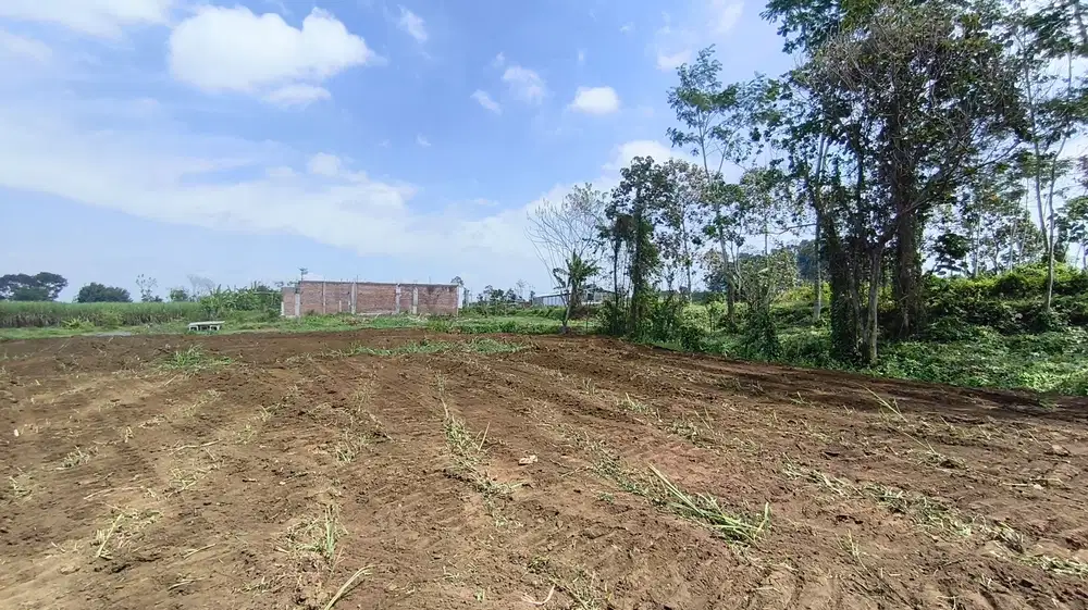 Tanah 100 Juta an Harga Promo Launching 3 Menit Exit Tol Pakis