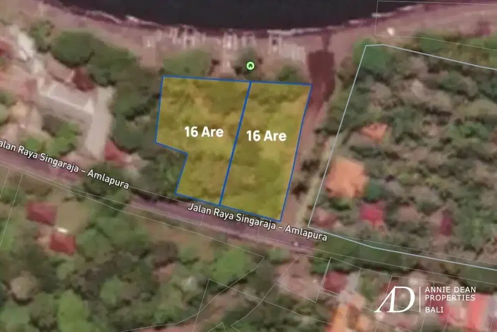 FREEHOLD BEACHFRONT LAND IN BULELENG