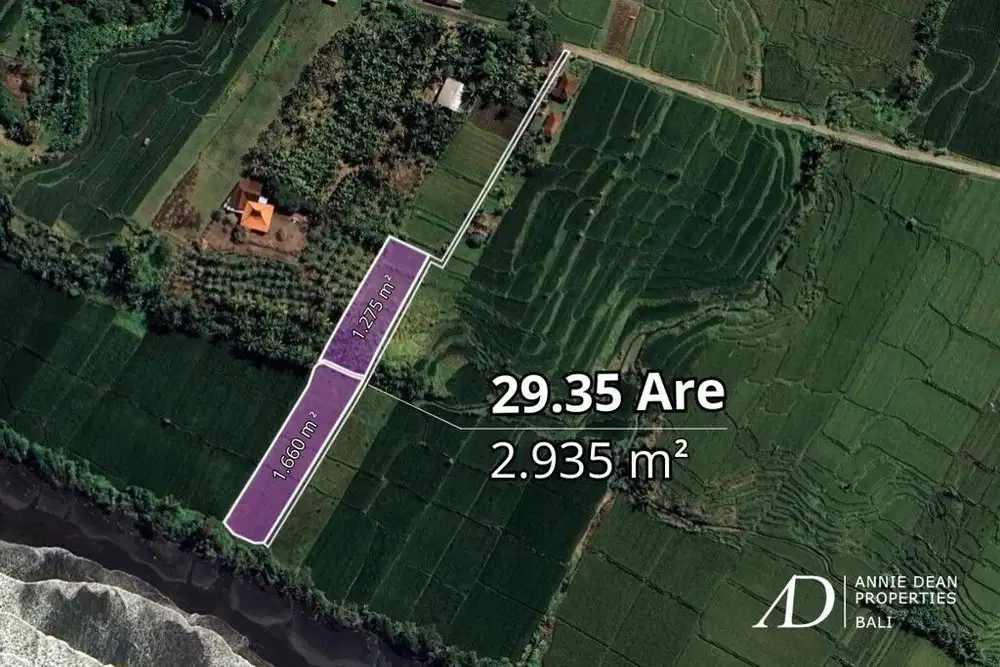 FREEHOLD BEACHFRONT LAND IN PEKUTATAN (3,000 M2) IN TOURISM ZONE