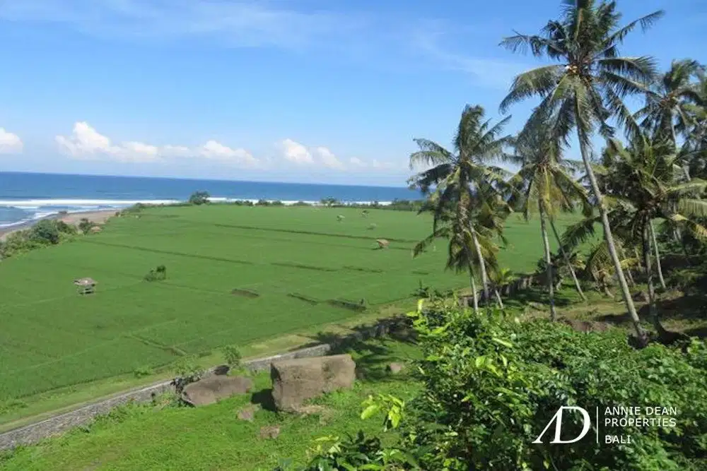 FREEHOLD OCEAN AND RIVER VIEWS LAND IN PULUKAN JEMBRANA 67,9 ARE