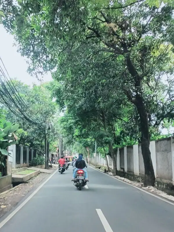 Dijual Tanah  Harga NJOP di Taman Palem, Kebagusan, Ragunan, Jaksel