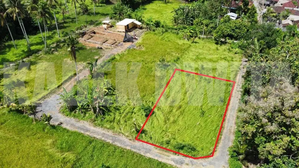Dijual Tanah Silungan Lodtunduh Ubud Cocok Untuk Dibangun Villa