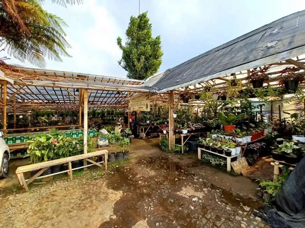 Dijual Tanah Strategis di Jalan Pondok Bitung Ciapus Bogor