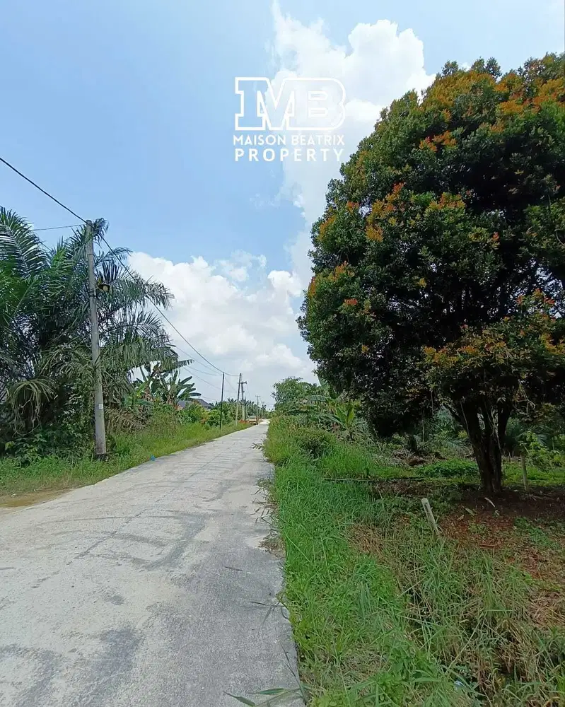 TANAH HARGA DIBAWAH NJOP SIAP BANGUN DI SIMPANG TIGA JL. TORGANDA