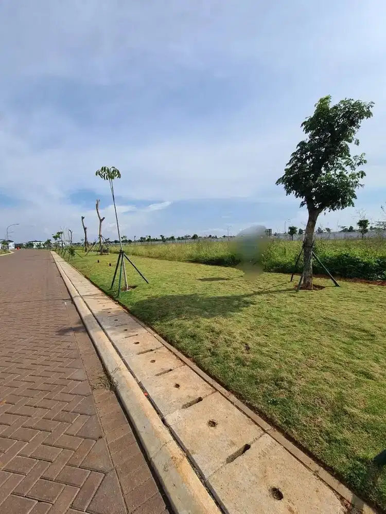 Kavling PIK 2 Palm Spring Uk 20x50 View Danau Hrg 31jt/m2