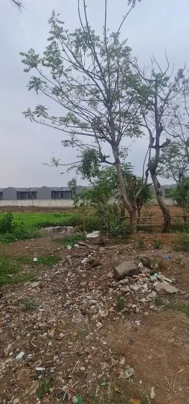 Murah Tanah Padat Di Wanakerta Suvarna Sutera Cikupa Tangerang