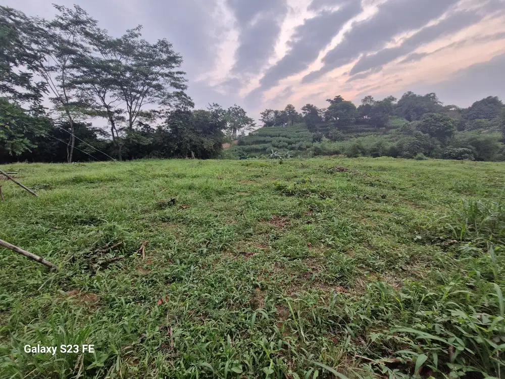 TANAH DENGAN HARGA TERJANGKAU, LETAKNYA DEKAT PINGGIR JALAN DI CIAMPEA