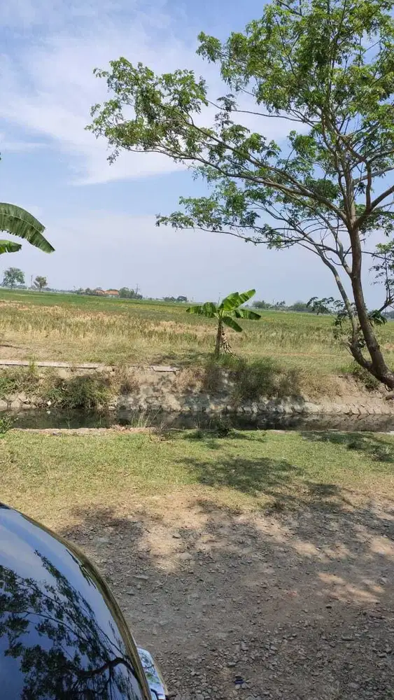 Dijual Cepat Tanah kavling di Cikarang Utara